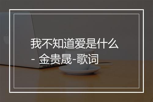 我不知道爱是什么 - 金贵晟-歌词