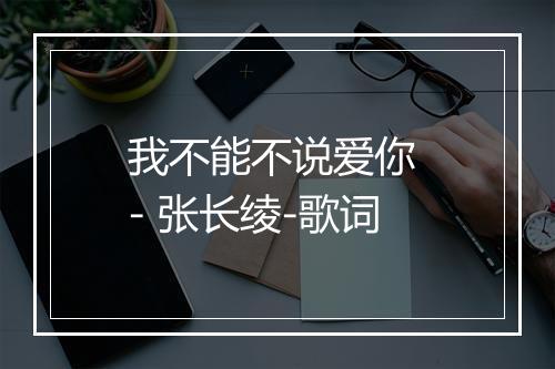 我不能不说爱你 - 张长绫-歌词