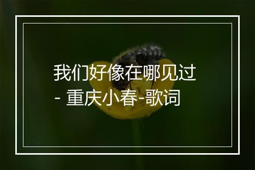 我们好像在哪见过 - 重庆小春-歌词