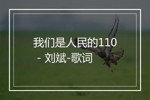 我们是人民的110 - 刘斌-歌词