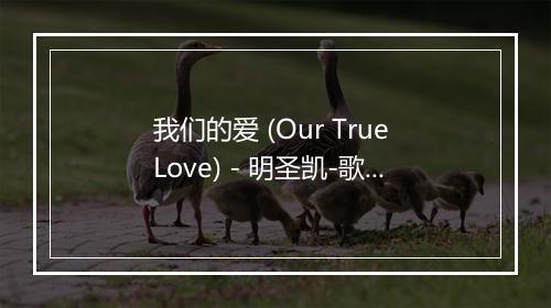 我们的爱 (Our True Love) - 明圣凯-歌词