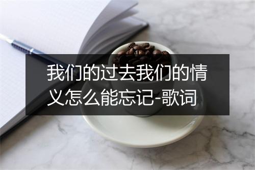 我们的过去我们的情义怎么能忘记-歌词