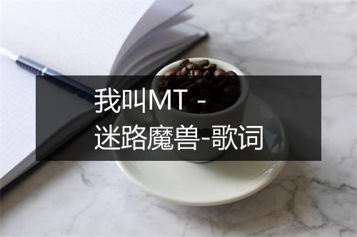 我叫MT - 迷路魔兽-歌词