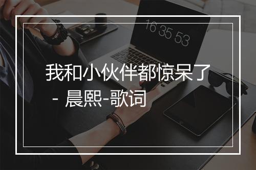 我和小伙伴都惊呆了 - 晨熙-歌词