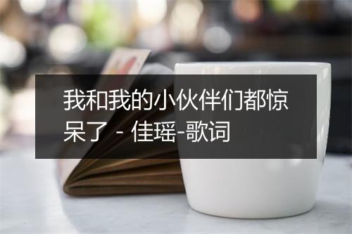 我和我的小伙伴们都惊呆了 - 佳瑶-歌词