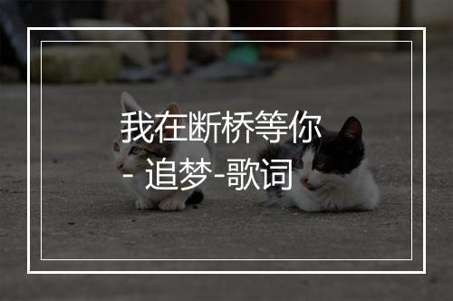 我在断桥等你 - 追梦-歌词