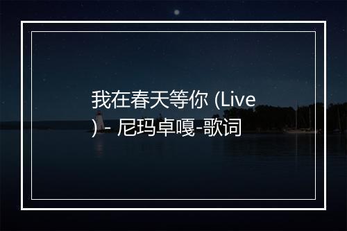 我在春天等你 (Live) - 尼玛卓嘎-歌词