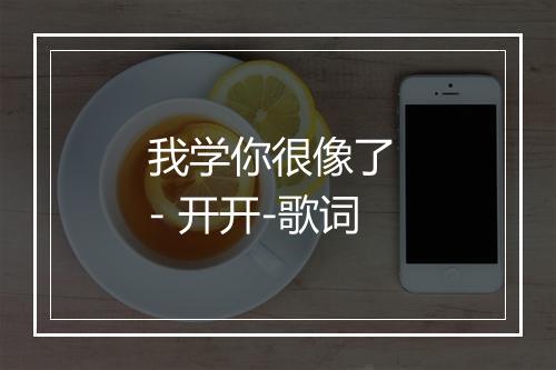 我学你很像了 - 开开-歌词