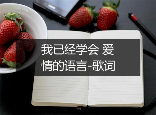 我已经学会 爱情的语言-歌词