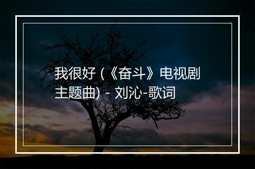 我很好 (《奋斗》电视剧主题曲) - 刘沁-歌词