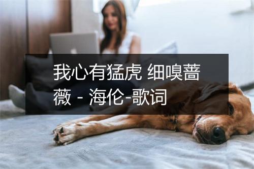 我心有猛虎 细嗅蔷薇 - 海伦-歌词