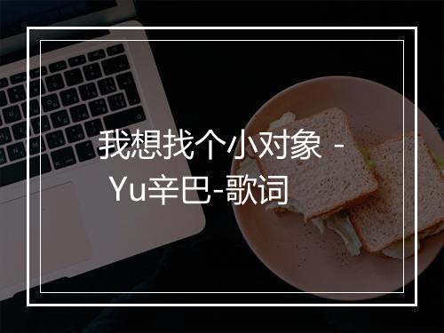 我想找个小对象 - Yu辛巴-歌词