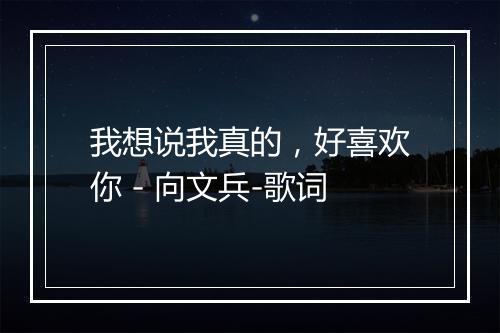 我想说我真的，好喜欢你 - 向文兵-歌词