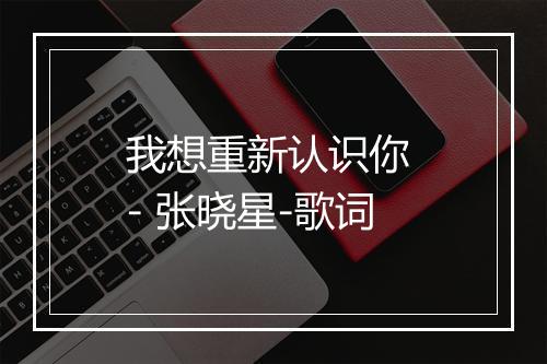 我想重新认识你 - 张晓星-歌词