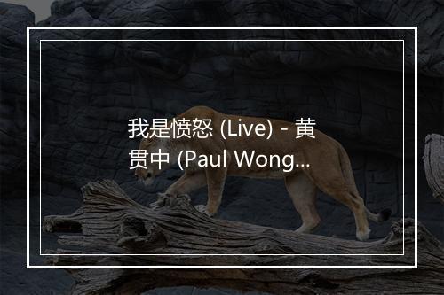 我是愤怒 (Live) - 黄贯中 (Paul Wong)-歌词