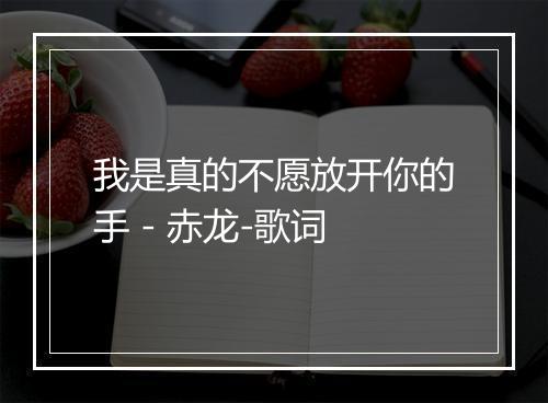 我是真的不愿放开你的手 - 赤龙-歌词