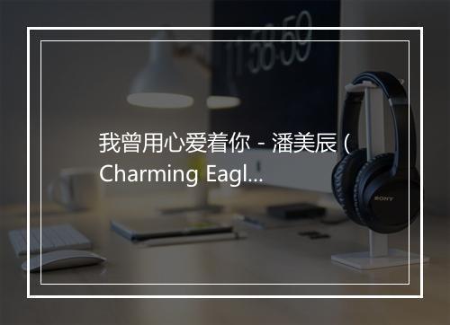 我曾用心爱着你 - 潘美辰 (Charming Eagle)-歌词