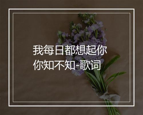 我每日都想起你 你知不知-歌词