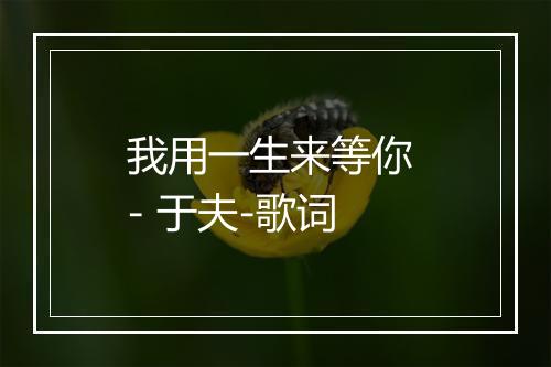 我用一生来等你 - 于夫-歌词