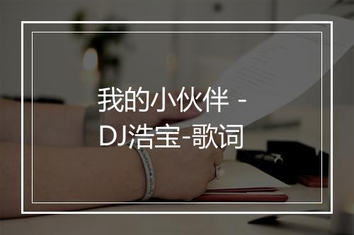 我的小伙伴 - DJ浩宝-歌词