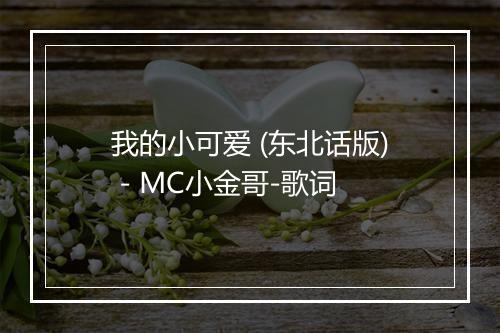 我的小可爱 (东北话版) - MC小金哥-歌词