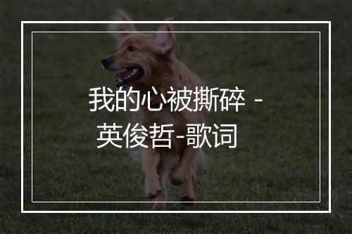 我的心被撕碎 - 英俊哲-歌词