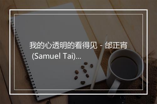 我的心透明的看得见 - 邰正宵 (Samuel Tai)-歌词