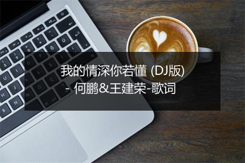 我的情深你若懂 (DJ版) - 何鹏&王建荣-歌词