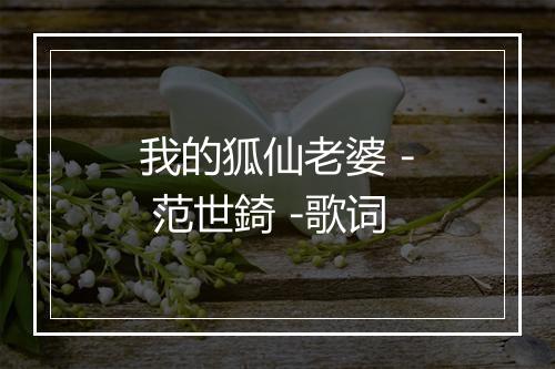 我的狐仙老婆 - 范世錡 -歌词