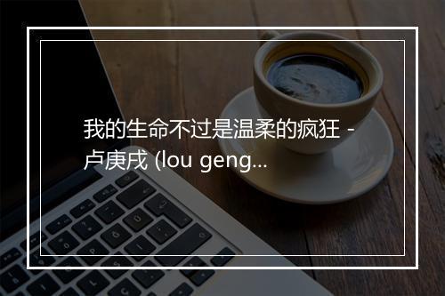 我的生命不过是温柔的疯狂 - 卢庚戌 (lou geng sed)-歌词