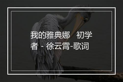 我的雅典娜   初学者 - 徐云霄-歌词