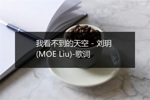 我看不到的天空 - 刘玥 (MOE Liu)-歌词