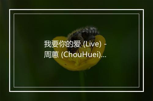 我要你的爱 (Live) - 周蕙 (ChouHuei)-歌词