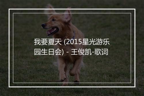 我要夏天 (2015星光游乐园生日会) - 王俊凯-歌词