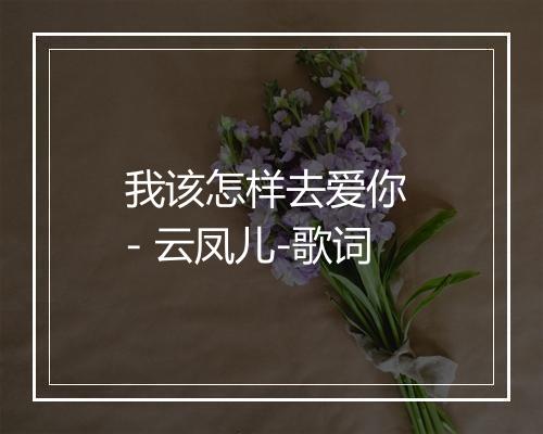 我该怎样去爱你 - 云凤儿-歌词