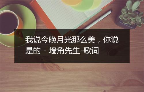 我说今晚月光那么美，你说是的 - 墙角先生-歌词