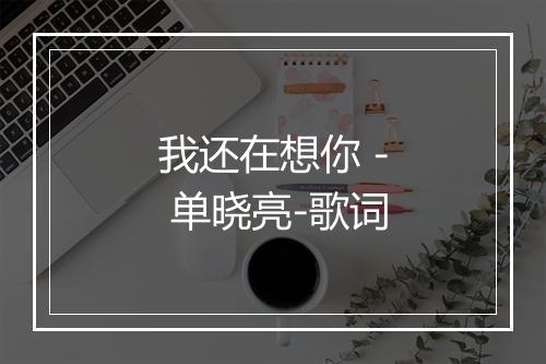 我还在想你 - 单晓亮-歌词