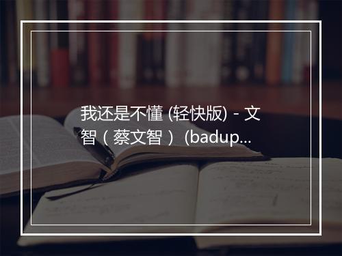 我还是不懂 (轻快版) - 文智（蔡文智） (baduphoto)-歌词