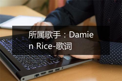 所属歌手：Damien Rice-歌词