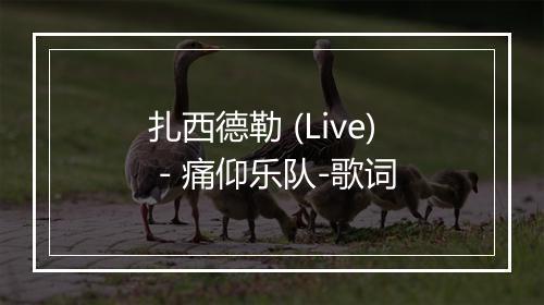 扎西德勒 (Live) - 痛仰乐队-歌词