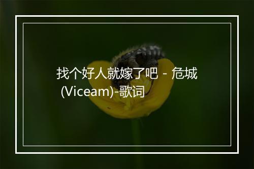 找个好人就嫁了吧 - 危城 (Viceam)-歌词