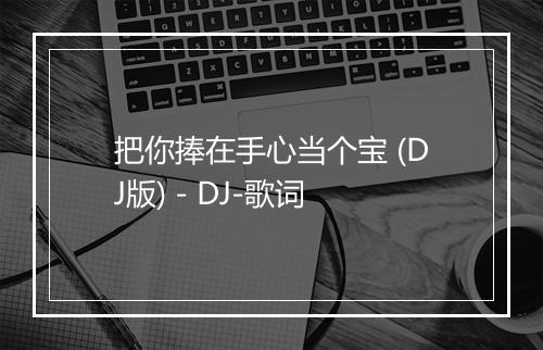 把你捧在手心当个宝 (DJ版) - DJ-歌词