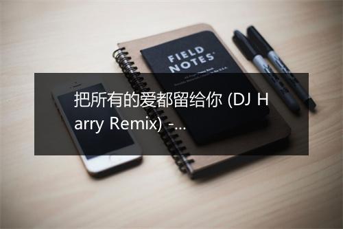 把所有的爱都留给你 (DJ Harry Remix) - DJ Harry-歌词