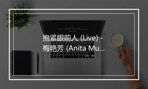 抱紧眼前人 (Live) - 梅艳芳 (Anita Mui)-歌词