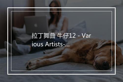 拉丁舞曲 牛仔12 - Various Artists-歌词