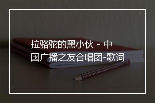 拉骆驼的黑小伙 - 中国广播之友合唱团-歌词