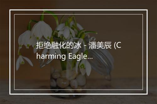 拒绝融化的冰 - 潘美辰 (Charming Eagle)-歌词