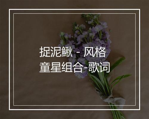 捉泥鳅 - 风格童星组合-歌词