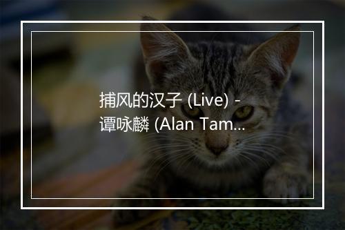 捕风的汉子 (Live) - 谭咏麟 (Alan Tam)-歌词