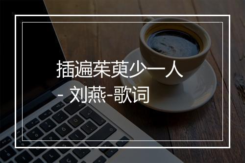 插遍茱萸少一人 - 刘燕-歌词